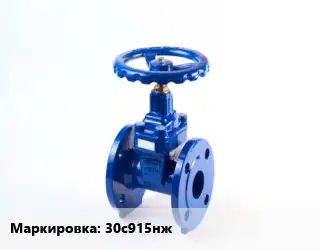 Задвижка стальная 30с915нж